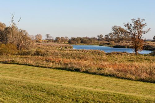 Alte Elbe Kathewitz