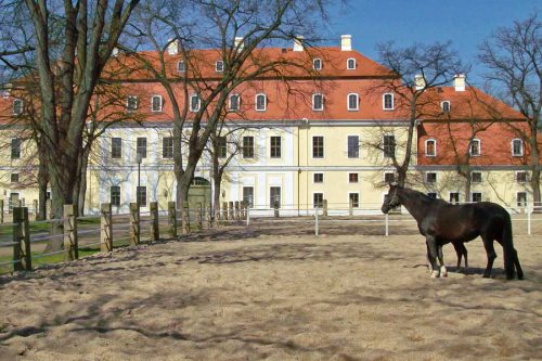 Innenhof des Gestüts Graditz
