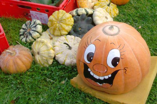 Kürbisfest in Zwethau