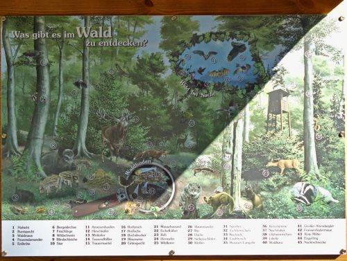 Naturlehrpfad Falkenstruth