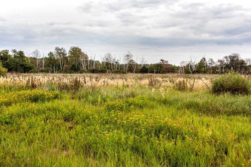 Naturschutzgebiet Prudel