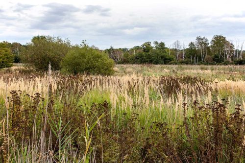 Naturschutzgebiet Prudel