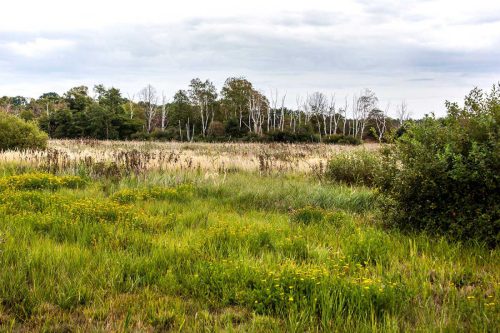 Naturschutzgebiet Prudel