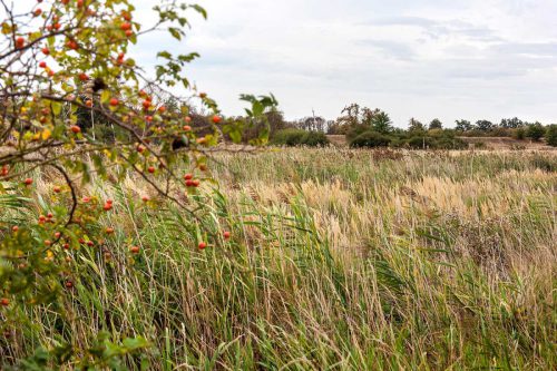 Naturschutzgebiet Prudel