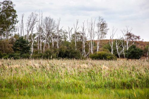 Naturschutzgebiet Prudel